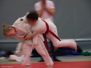 2013 03 05 - 037 Per Ottosson